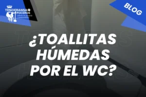 ¿Toallitas húmedas por el WC?