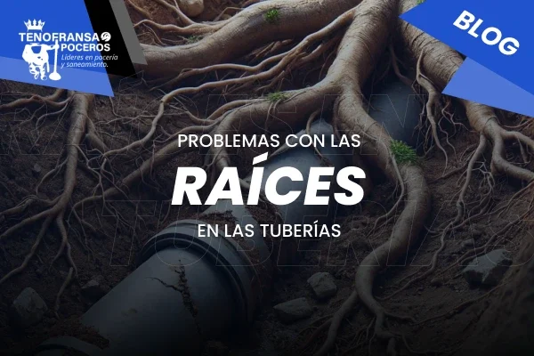 Problemas con las raíces en las tuberías