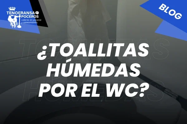 ¿Toallitas húmedas por el WC?