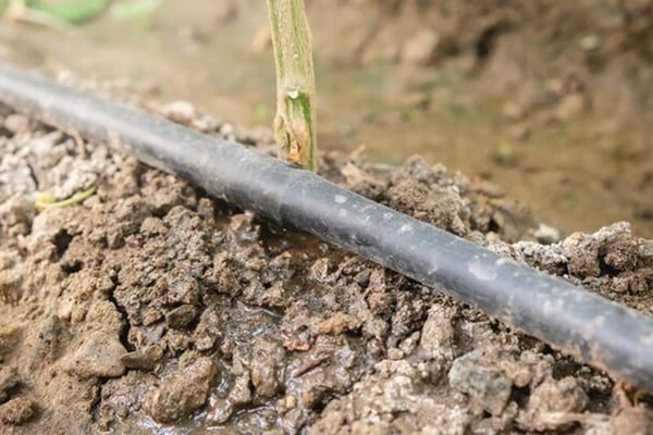 Cómo encontrar y eliminar raíces en tuberías